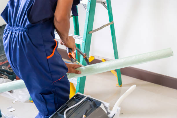 Istockphoto 1908888264 612x612